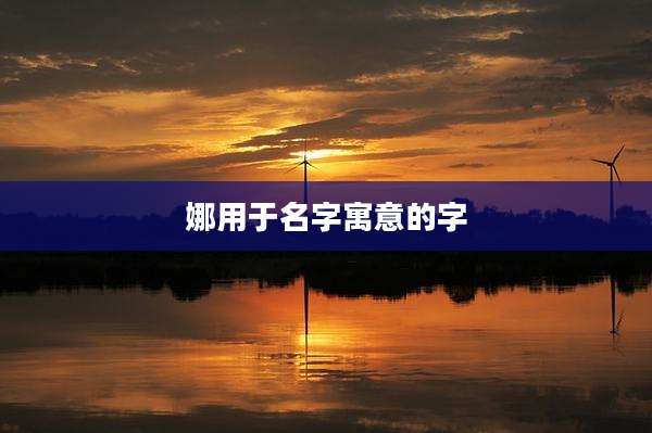 娜用于名字寓意的字