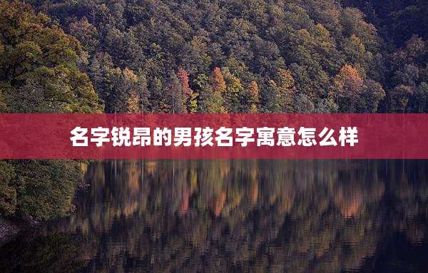 名字锐昂的男孩名字寓意怎么样