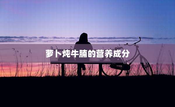 萝卜炖牛腩的营养成分