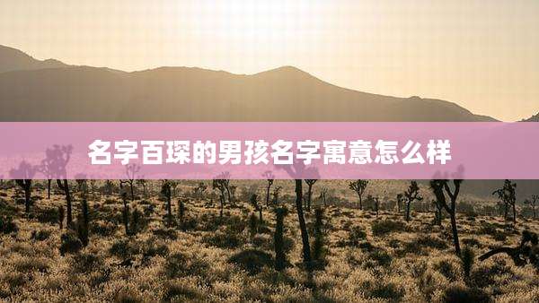 名字百琛的男孩名字寓意怎么样