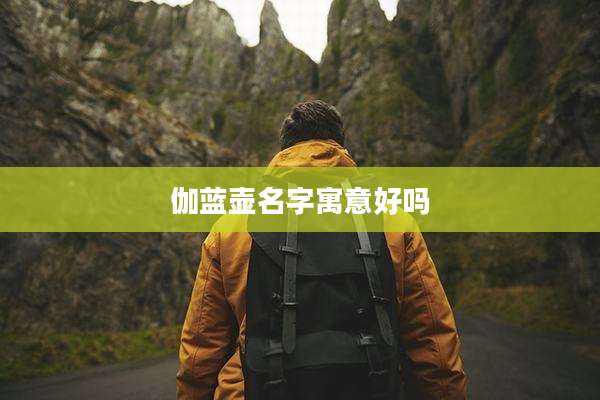伽蓝壶名字寓意好吗