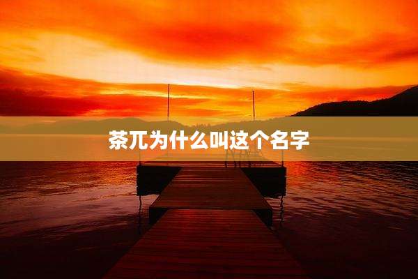 茶兀为什么叫这个名字