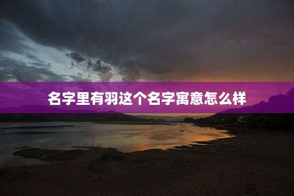 名字里有羽这个名字寓意怎么样