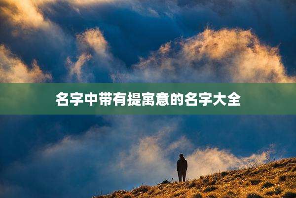名字中带有提寓意的名字大全