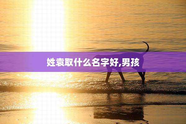 姓袁取什么名字好,男孩