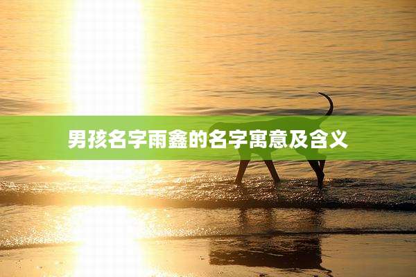男孩名字雨鑫的名字寓意及含义