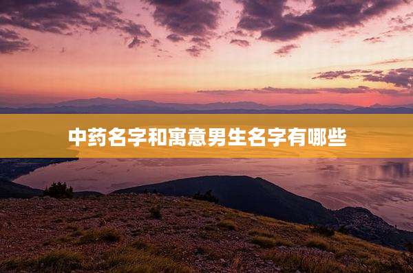 中药名字和寓意男生名字有哪些