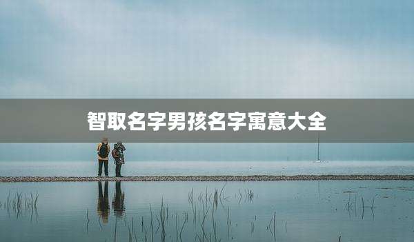 智取名字男孩名字寓意大全