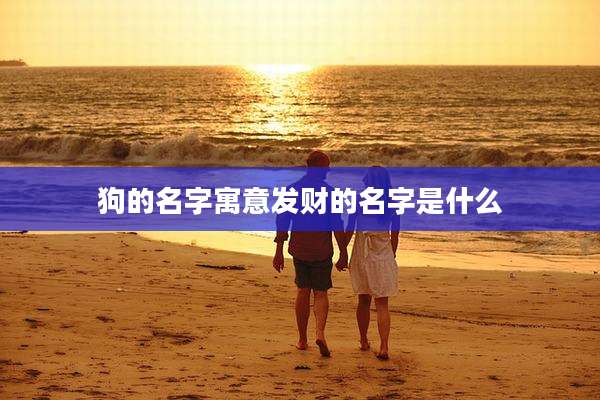 狗的名字寓意发财的名字是什么