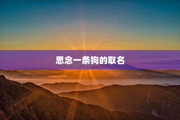 思念一条狗的取名
