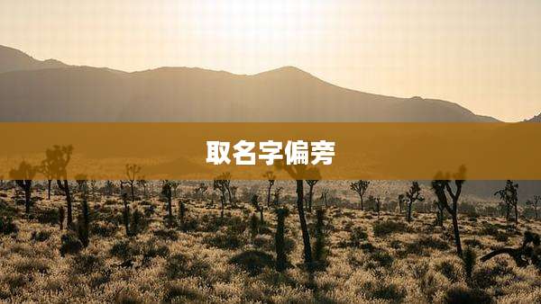 取名字偏旁