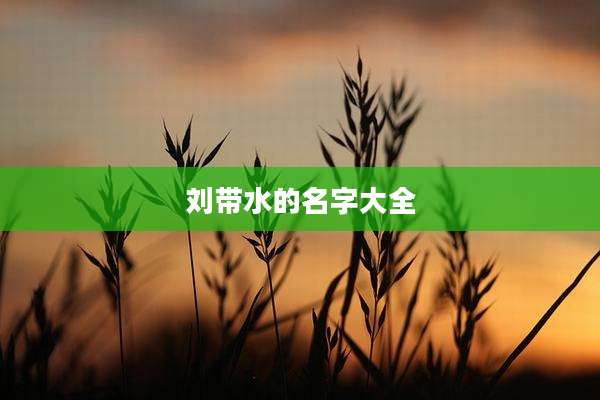 刘带水的名字大全