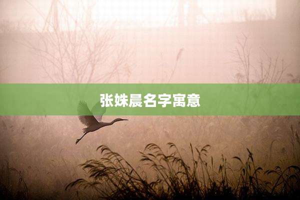 张姝晨名字寓意