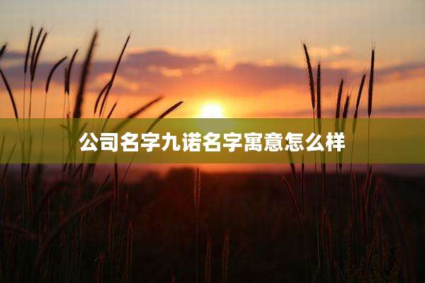 公司名字九诺名字寓意怎么样