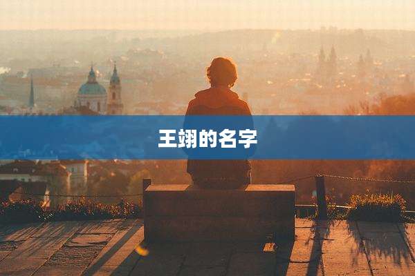 王翊的名字