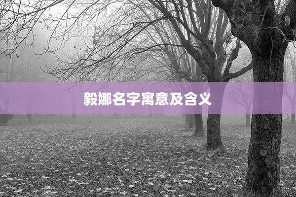 毅娜名字寓意及含义