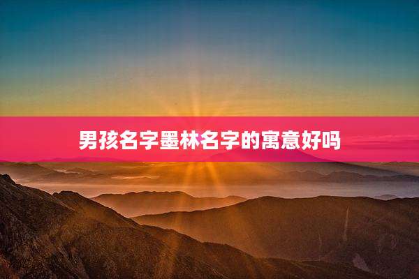 男孩名字墨林名字的寓意好吗