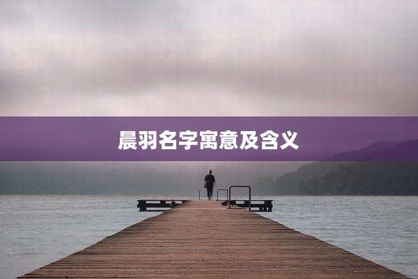 晨羽名字寓意及含义