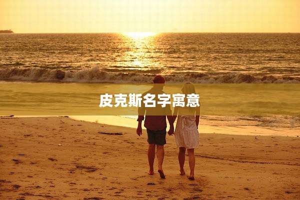 皮克斯名字寓意