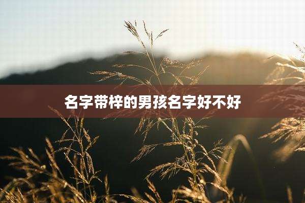 名字带梓的男孩名字好不好