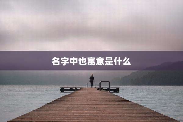 名字中也寓意是什么