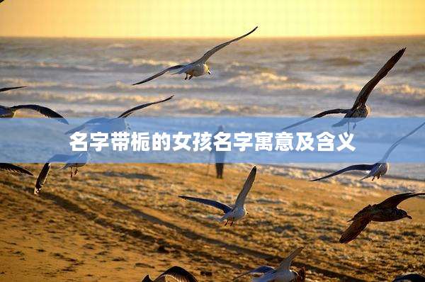 名字带栀的女孩名字寓意及含义