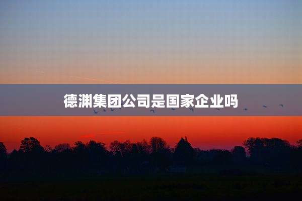 德渊集团公司是国家企业吗
