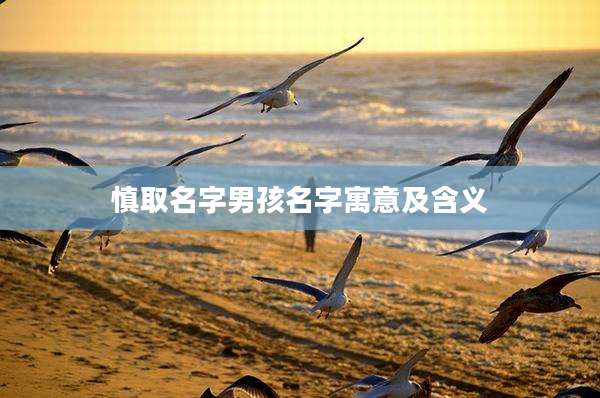 慎取名字男孩名字寓意及含义