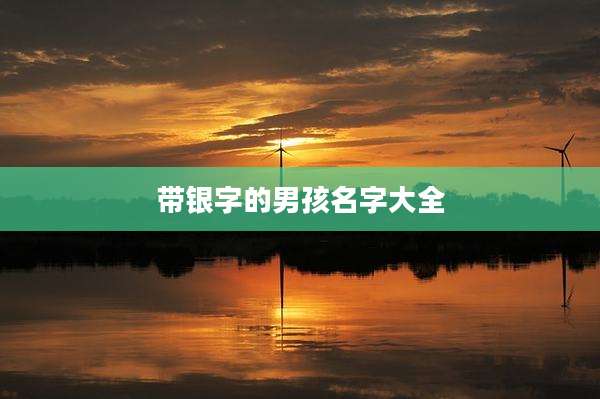 带银字的男孩名字大全