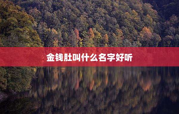 金钱肚叫什么名字好听