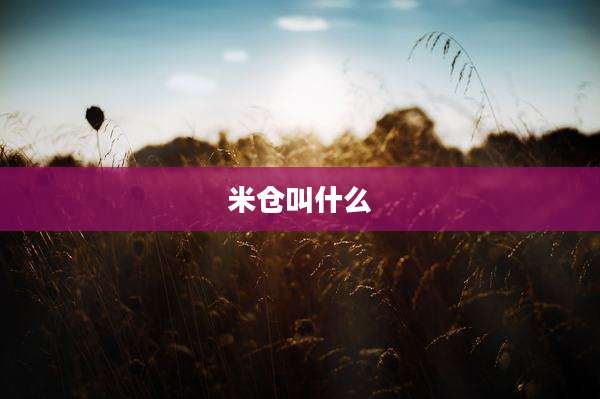 米仓叫什么