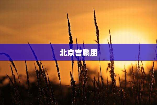 北京宫鹏朋