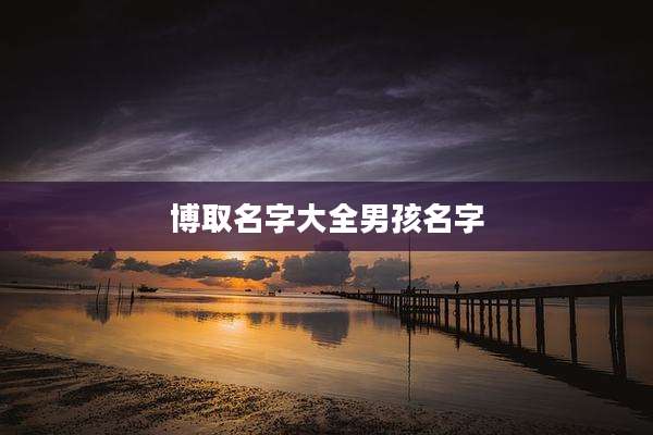 博取名字大全男孩名字