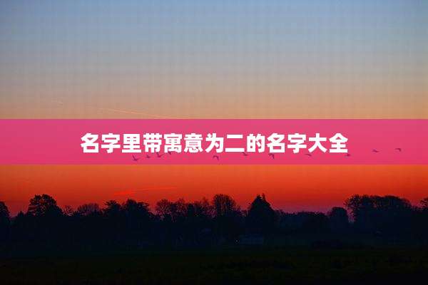 名字里带寓意为二的名字大全