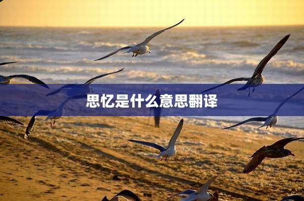 思忆是什么意思翻译