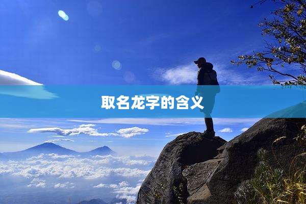 取名龙字的含义