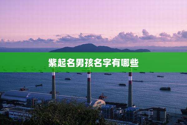 紫起名男孩名字有哪些