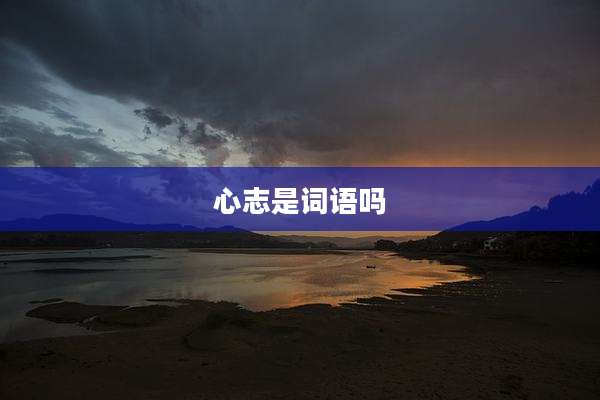 心志是词语吗