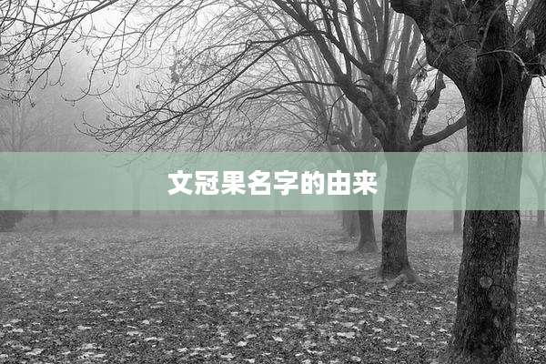 文冠果名字的由来