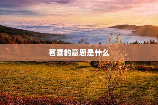 茗曦的意思是什么