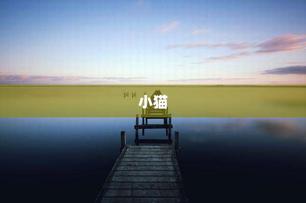 小猫