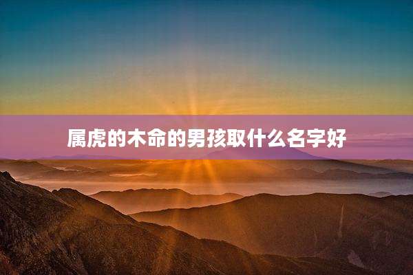 属虎的木命的男孩取什么名字好