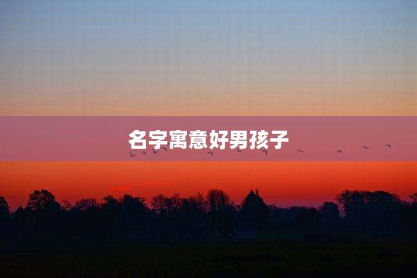 名字寓意好男孩子