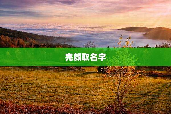 完颜取名字