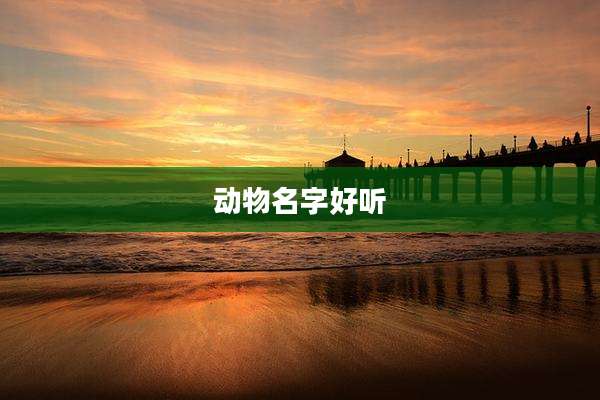 动物名字好听