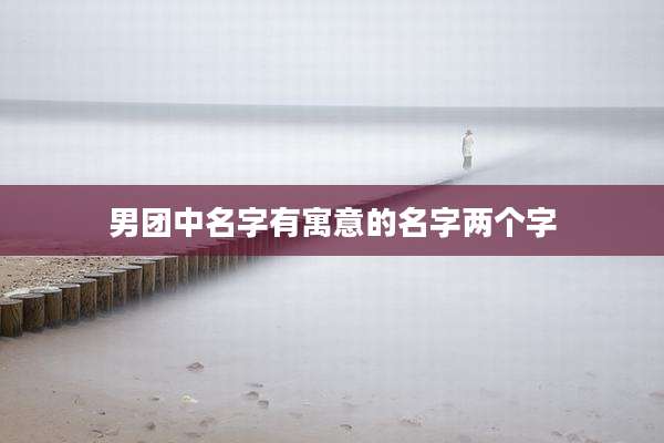 男团中名字有寓意的名字两个字
