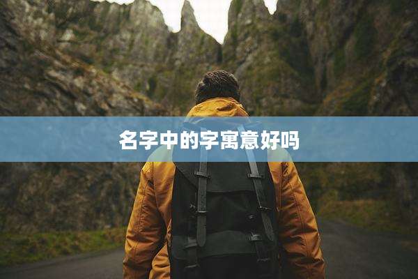 名字中的字寓意好吗