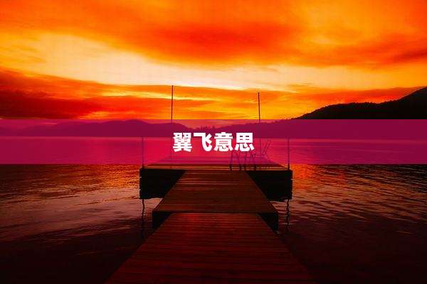 翼飞意思