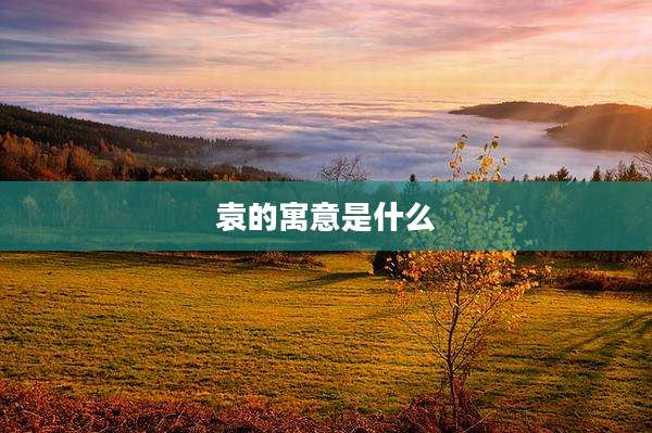 袁的寓意是什么