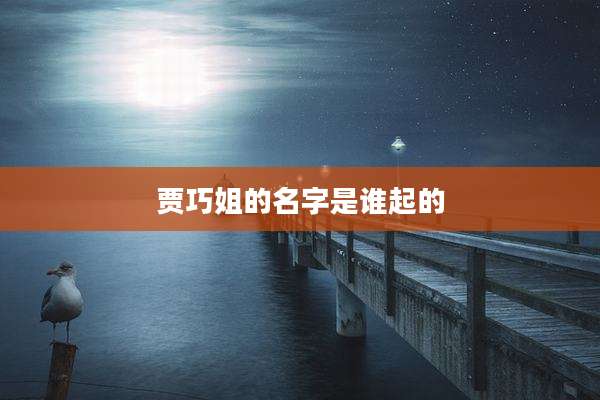 贾巧姐的名字是谁起的